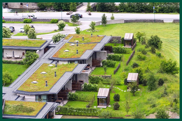 Several houses with green living roofs.
